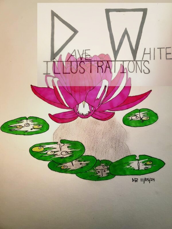 White, Dave. Lotus. November 5, 2024, Dave White Illustrations.