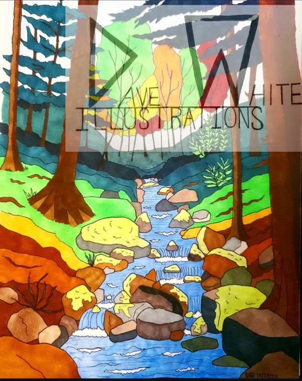 White, Dave. Mountain Creek. October 29, 2024, Dave White Illustrations.
