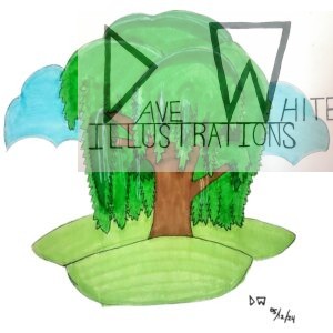 White, Dave. Willow. May 24, 2024, Dave White Illustrations.
