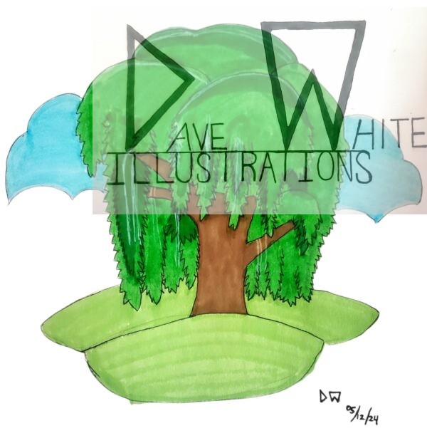 White, Dave. Willow. May 24, 2024, Dave White Illustrations.
